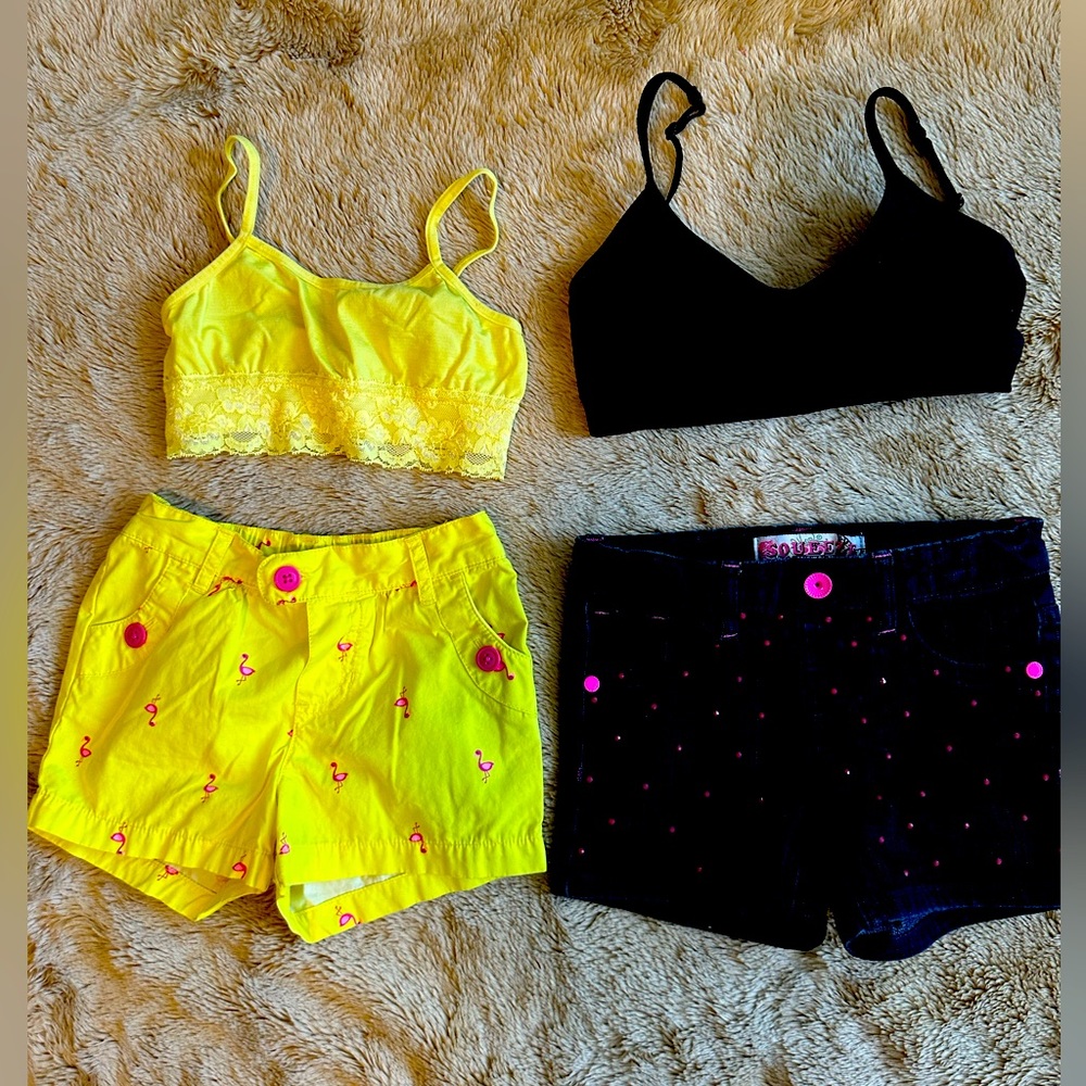 4 pc Girls Sz 4 Shorts lot Flamingos